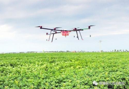 珠海羽人捷报频传，喜获名牌名标民营企业奖励