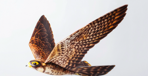 无人机伪装成小飞鸟，守护机场安全