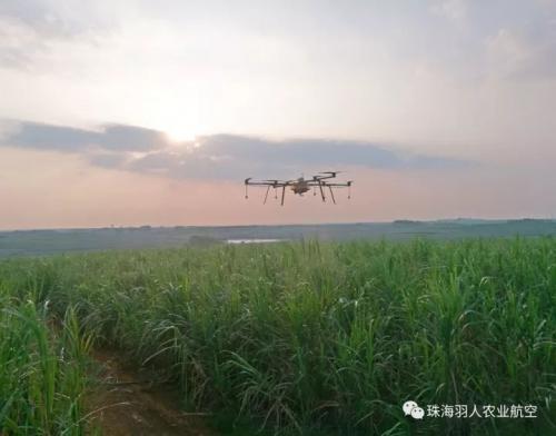 我国植保无人机发展提速，国际市场成新“猎物”