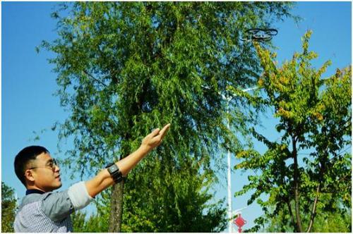 创意新玩法，用你的神经来控制无人机——DTing 灵动臂环体验