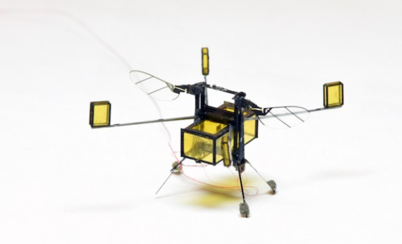 新技术黑科技：哈佛大学研发出可出入水面的机器蜂