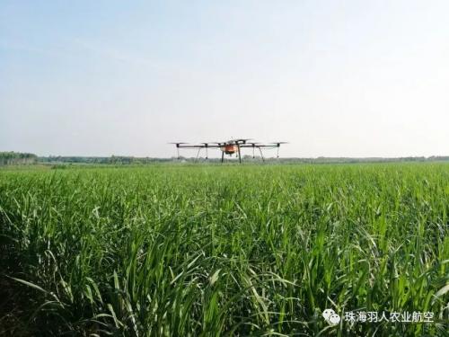 浙江率先公布植保无人机补贴标准，一台多旋翼补2万