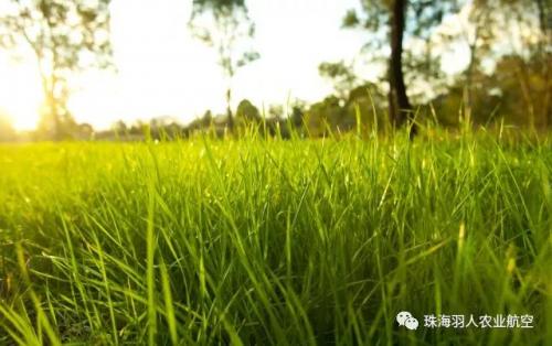 珠海率先完成植保无人机统防统治服务