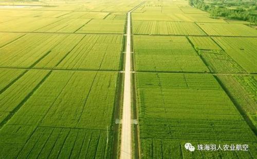 珠海羽人独创多功能农用无人机，引领植保新领域