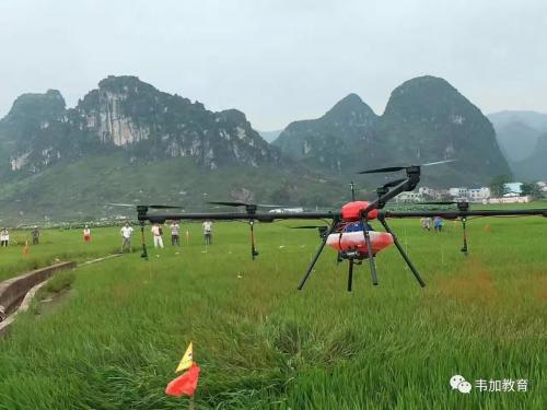 植保无人机飞防服务市场，你了解了吗？