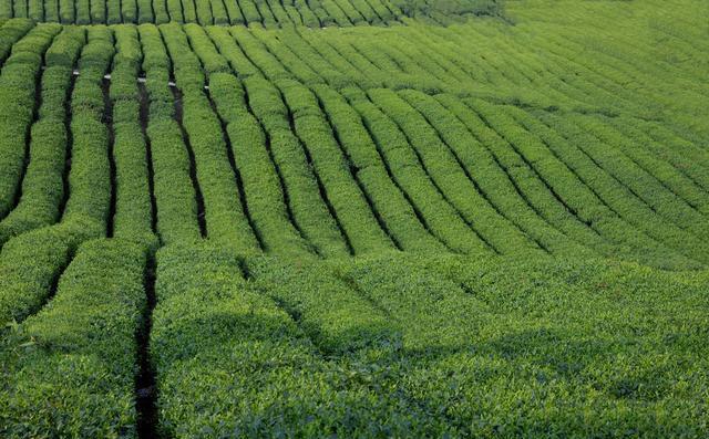 遥感市场图谱：20家遥感创业公司和他们使用的多样数据