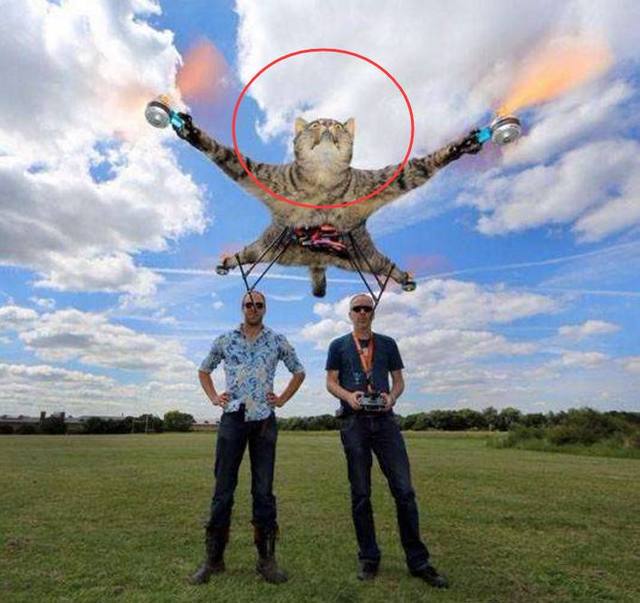 男子自制一架猫型无人机，厉害了我的哥！ 