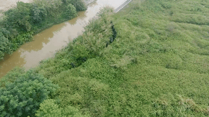 盗贼一丝不挂藏进2米草丛 警方出动无人机揪出