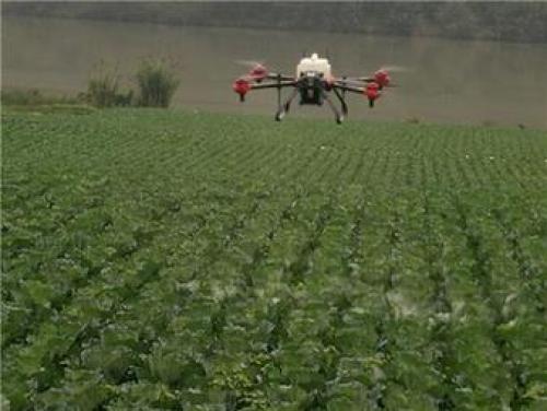潼南区上和镇植保无人机飞防助农业生产丰收