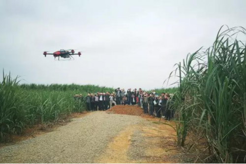 如何推广植保无人机？正邦集团这样做