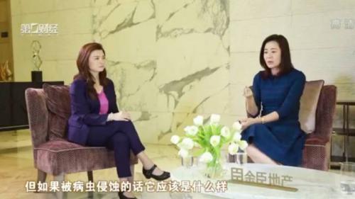 思想领飞未来|江文彦女士在《财富中国》的精彩分享