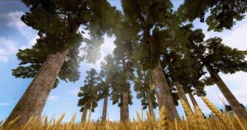 荒岛特训：新载具热气球无人机？