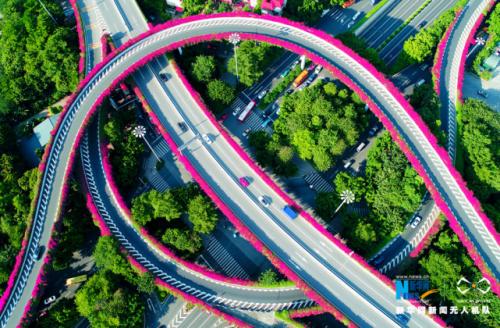 无人机之旅|航拍空中花廊 爱上冬日广州“春光”