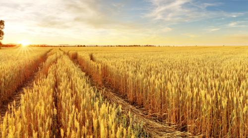 共享无人机服务站惠农民 农药统一调配管理