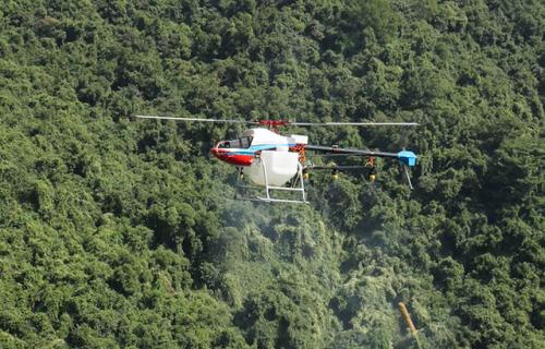 天鹰兄弟植保无人机防控植物杀手薇甘菊