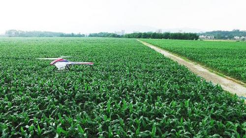 视晶无线（CVW）为你分享无人机在农副业调查中的应用