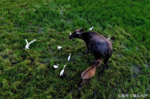 无人机上帝视角让摄影大开眼界