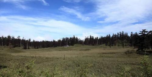 多点蓝天，少点“霾”怨，大鹏守护自然保护区