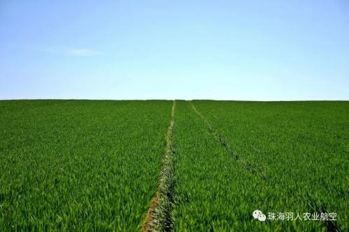 政策与标准加快落地,植保无人机进入“起飞”前夜