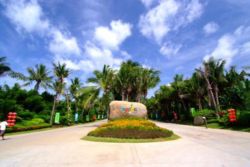 呀诺达雨林景区如何玩转大疆无人机？看完你就明白了