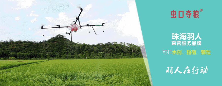 珠海羽人助力雷州甘蔗全程机械化