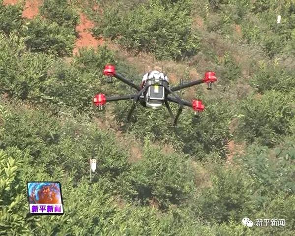 无人机喷药省时省力 高科技助力农业发展