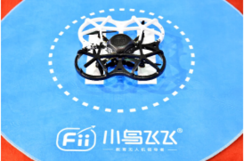 “小鸟飞飞”助力青少年科学教育普及，领飞引航前沿科技服务教育升级