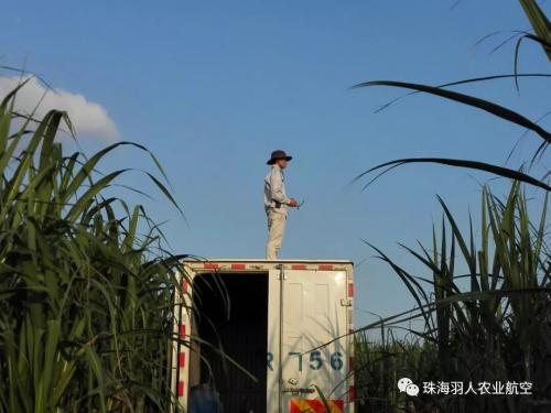 植保无人机与农业那些不得不说的事儿