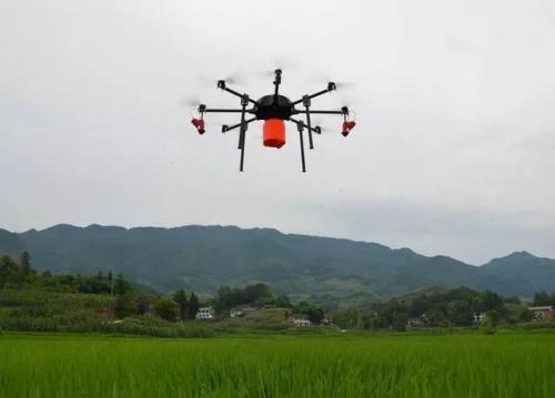 灵芝街道无人机航拍 让屋顶违建无处遁形
