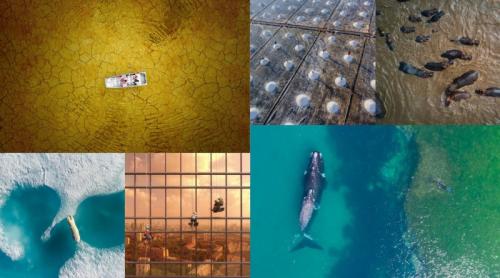 20 幅惊艳世界的航拍 不只求壮观人文特写更细腻