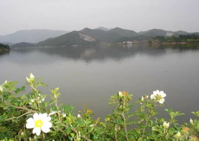 「新时代 新气象 新作为」这绝对是无人机最牛的“玩法”，不信你看……