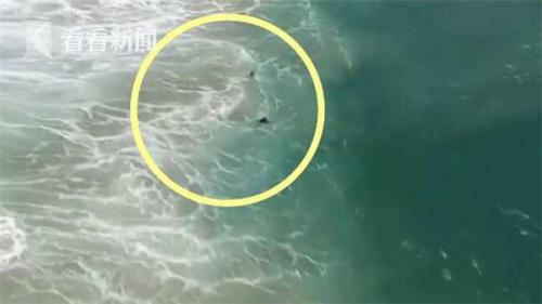 全球首例！无人机70秒极速营救被困冲浪男孩
