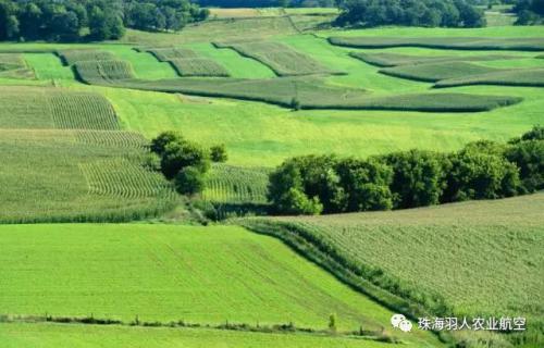 羽人：2018年农业补贴领取难度增加，但对农民来说是好消息！