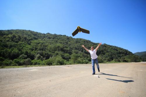 美科学家首用无人机统计海龟数目，数目远超预期！