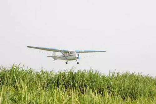 自从有了无人机，林业有害生物防治有了新“神器”