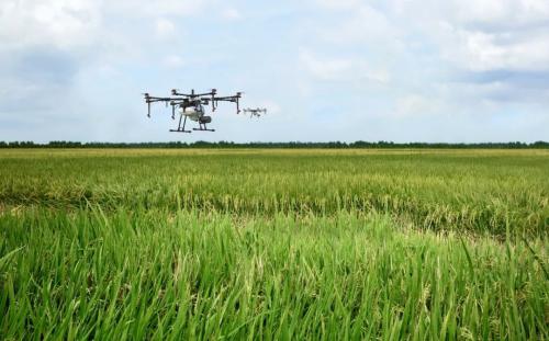 4台MG-1P喷洒100个足球场大小的农田，竟然只花了……