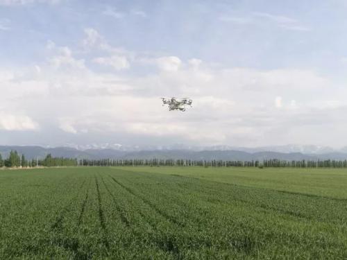 【大壮故事】听飞手讲讲飞防那些事儿