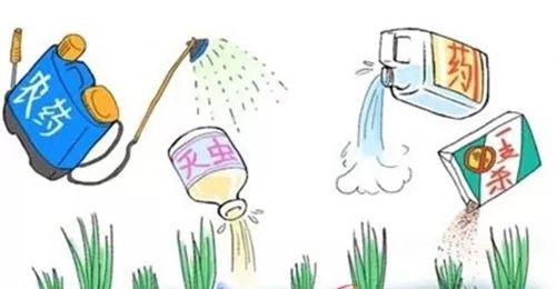 植保飞防之根本——植保农药