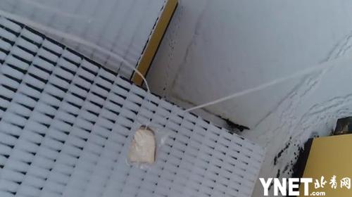 大雪封路 爱尔兰男子用无人机给邻居运送面包