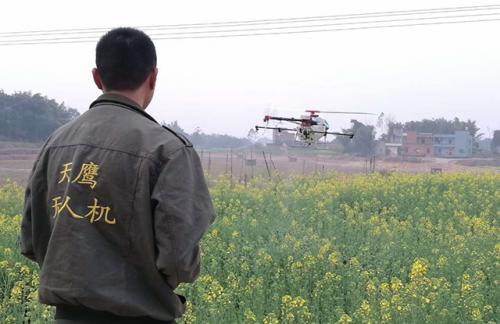 油菜花田植保无人机喷洒农药