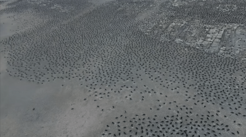 150 万只！航拍机助科学家发现南极「企鹅王国」