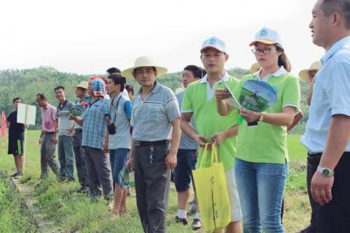 农田中的娘子军