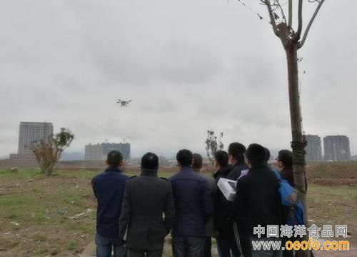 东阳开展植保无人机试飞试验