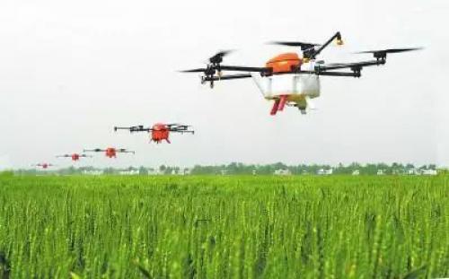 无人机与植物育种，未来即将兴起的新应用