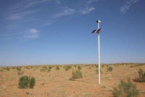 1314万棵树，跟一家农业科技公司有何关系？