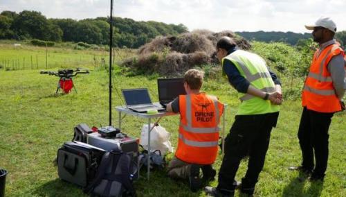 “花式”种树也能成为一门大生意？