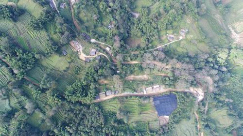 【禁毒一线】无人机助力金平警方，禁种铲毒不留遗漏和死角