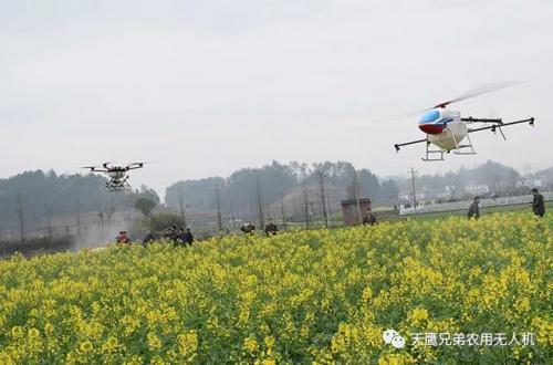 春天已来，如何赢在第一步