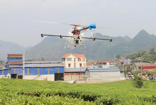 越南茶园 天鹰兄弟植保无人机助力茶叶绿色增产