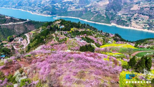 无人机航拍：巫峡边 春意浓